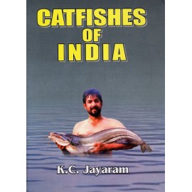 Catfishes of India