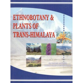 Ethnobotany And Plants Of Trans-Himalaya