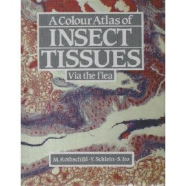 A Colour Atlas Of Insects Tissues