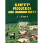 Sheep Production and Management (PB)