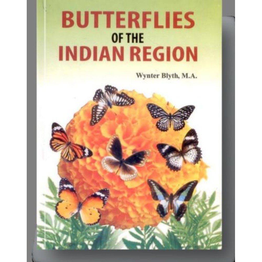 Butterflies of the Indian Region