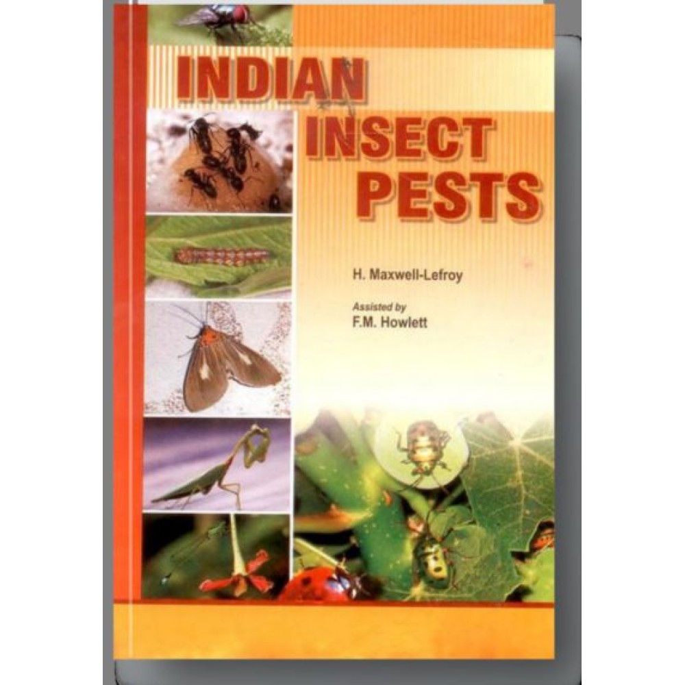 Indian Insect Pests