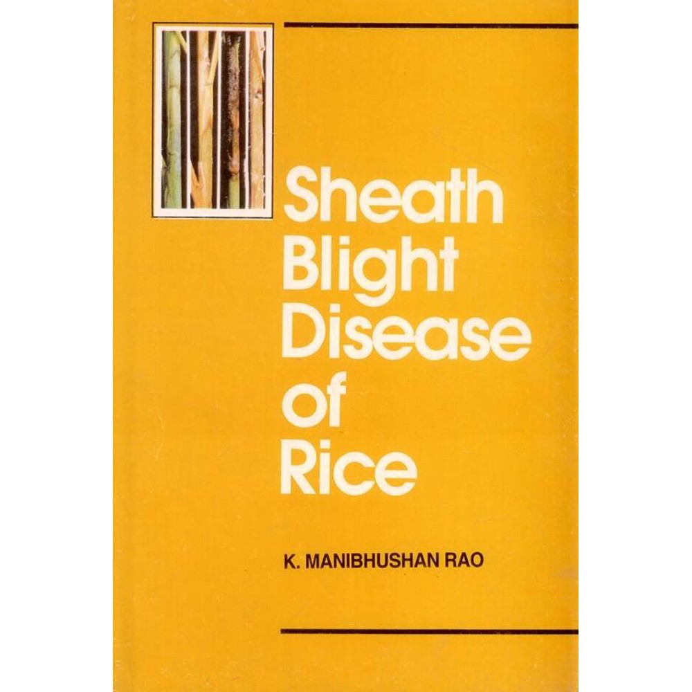 Sheath Blight Disease of Rice