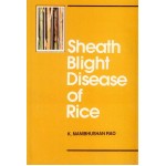 Sheath Blight Disease of Rice