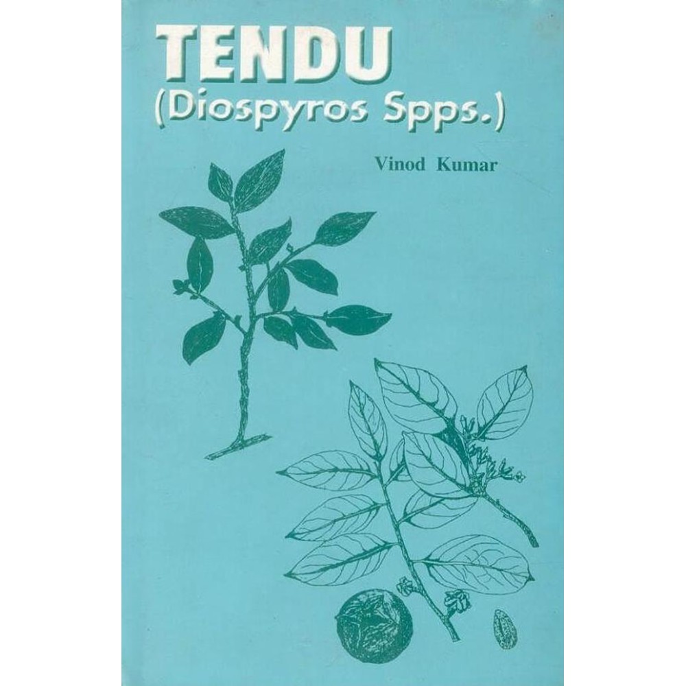 Tendu: (Diospyros spps.)