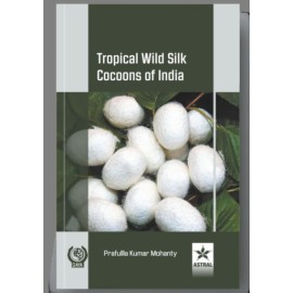 Tropical Wild Silk Cocoons of India