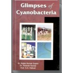 Glimpses of Cyanobacteria