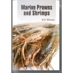 Marine Prawns and Shrimps