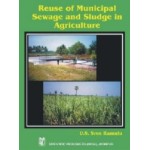 Reuse of Municipal Sewage and Sludge in Agriculture