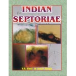 Indian Septoriae