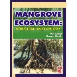 Mangrove Ecosystem Structure and Function