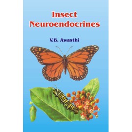 Insect Neuroendocrines