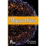 Mycorrhiza