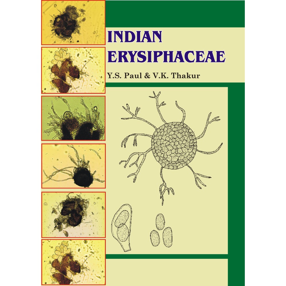 Indian Erysiphaceae