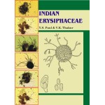 Indian Erysiphaceae