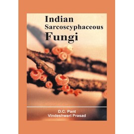 Indian Sarcoscyphaceous Fungi