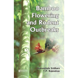 Bamboo Flowering and Rodent Outbreaks