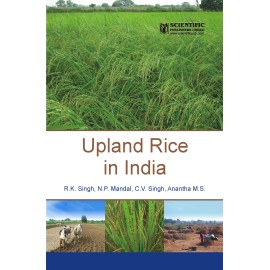 Upland Rice in India