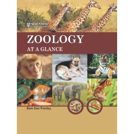 Zoology At A Glance