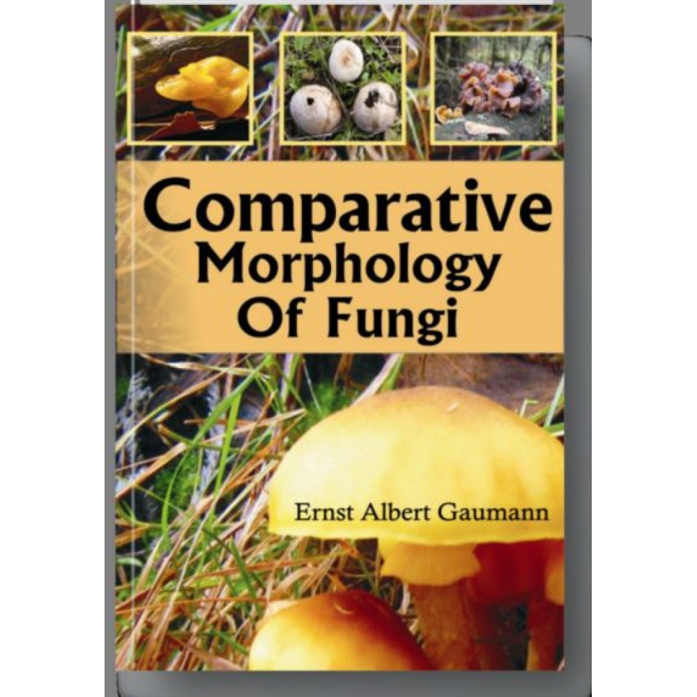 Comparative Morphology of Fungi