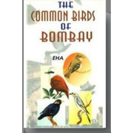 Common Birds of Bombay