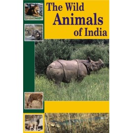 Wild Animals of India