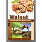 Walnut: Cultivation and Management