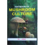 Mushroom Culture