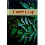 Curry Leaf