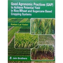 Good Agronomic Practice (GAP) to Achieve Potential Yield