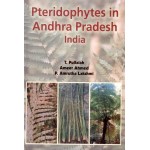 Pteridophytes in Andhra Pradesh India