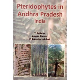 Pteridophytes in Andhra Pradesh India