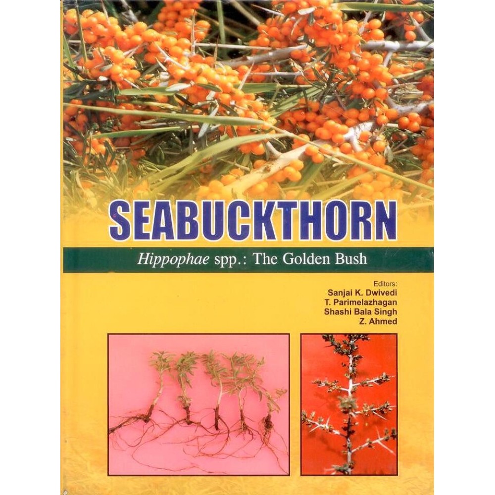 Seabuckthorn Hippophae Spp.: The Golden Bush