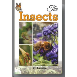 Insects