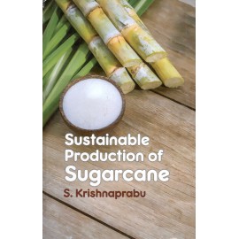 Sustainable Production of Sugarcane