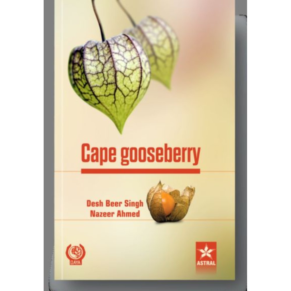 Cape Gooseberry