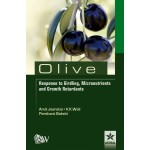 Olive Response to Girding Micronutrients and Growth Retardants