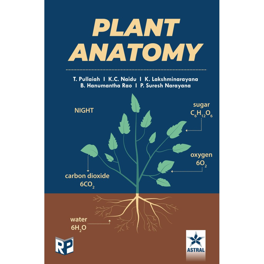 Plant Anatomy