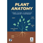 Plant Anatomy