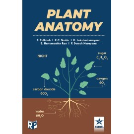 Plant Anatomy