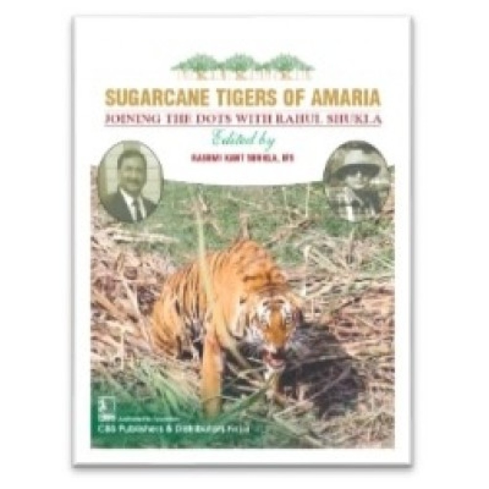 Sugarcane Tigers Of Amaria Joining The Dots With Rahul Shukla (HB)