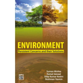 Environment: Persistent Concerns And Their Solutions