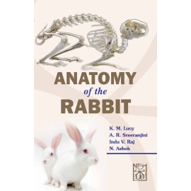 Anatomy of the Rabbit