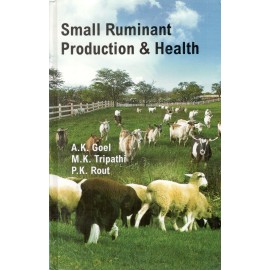 Small Ruminant Production and Health