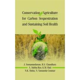 Conservation Agriculture for Carbon Sequestration and Sustaining Soil Health