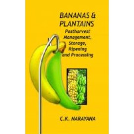 Bananas and Plantains: Postharvest Management,Storage,Ripening and Processing