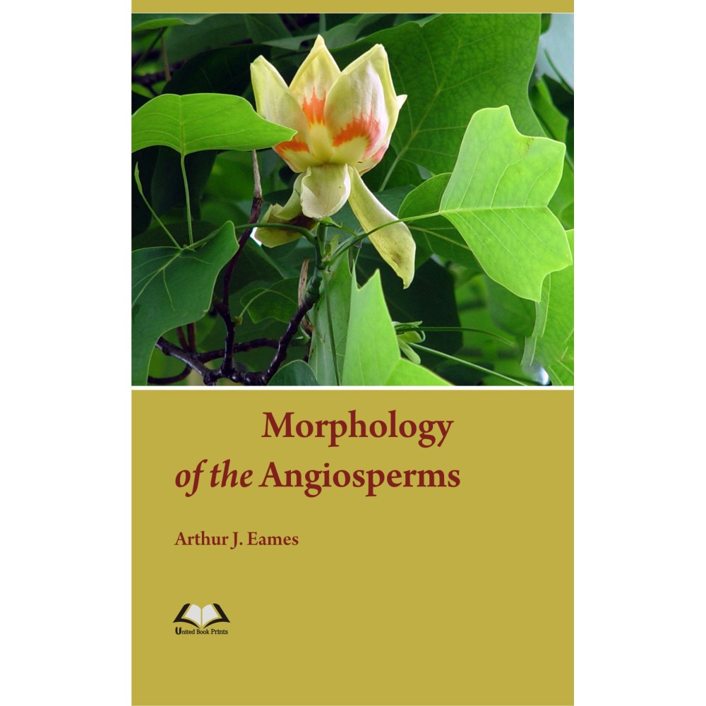 Morphology of the Angiosperms