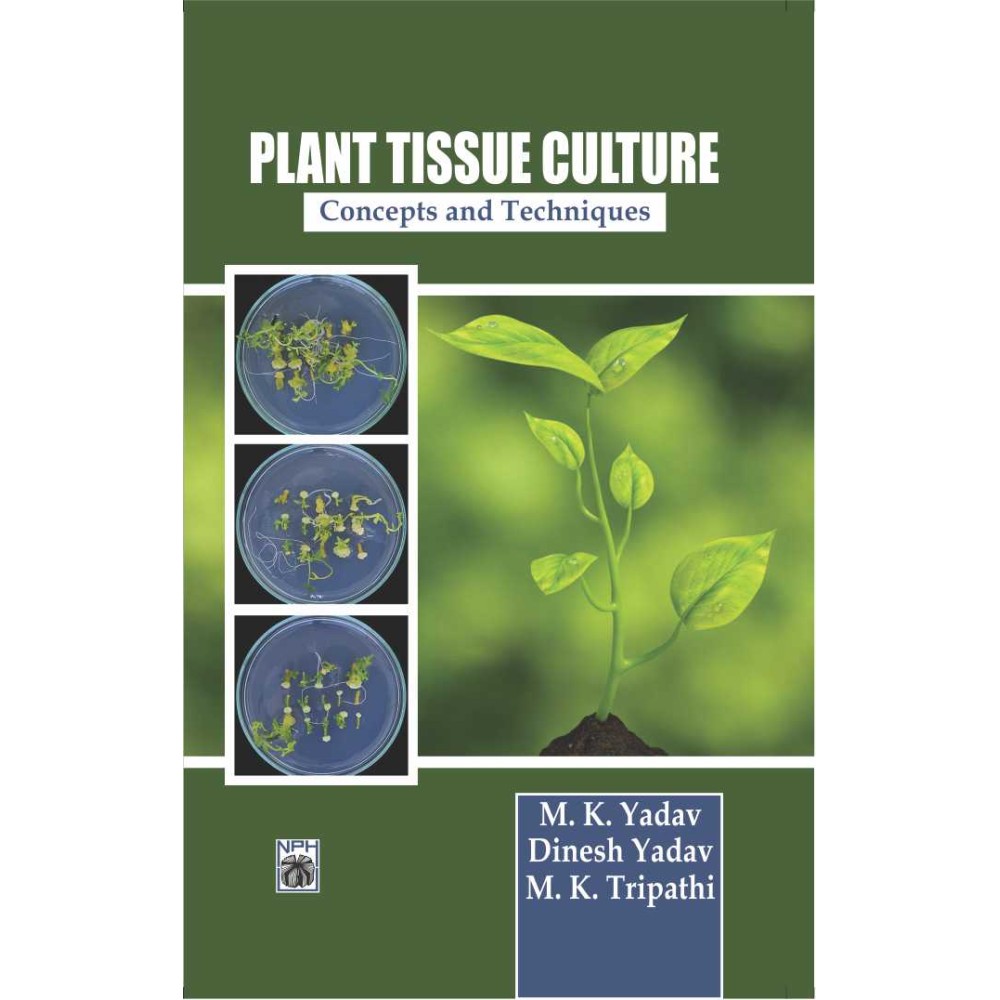 Plant Tissue Culture : Concepts & Techniques