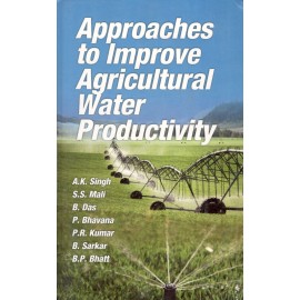 Approaches to Improve Agricultural Water Productivity