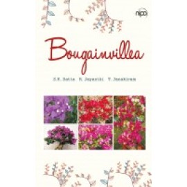 Bougainvillea